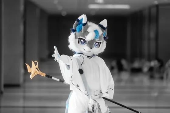 HarryQinPro / 作品的影集 · 第17张